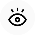 vision